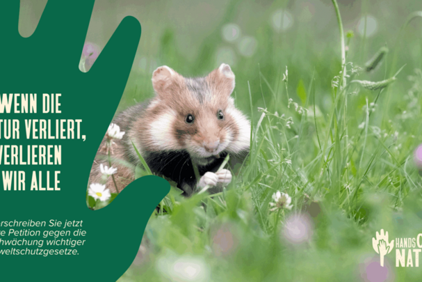 #handsoffnature_Foto: BN