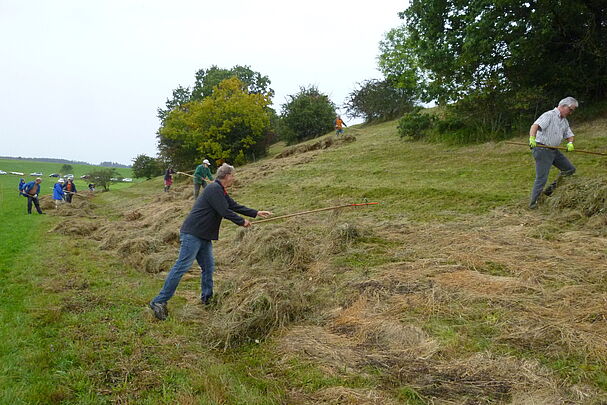Abrechen_Stadler Hang_Zollitsch Petra